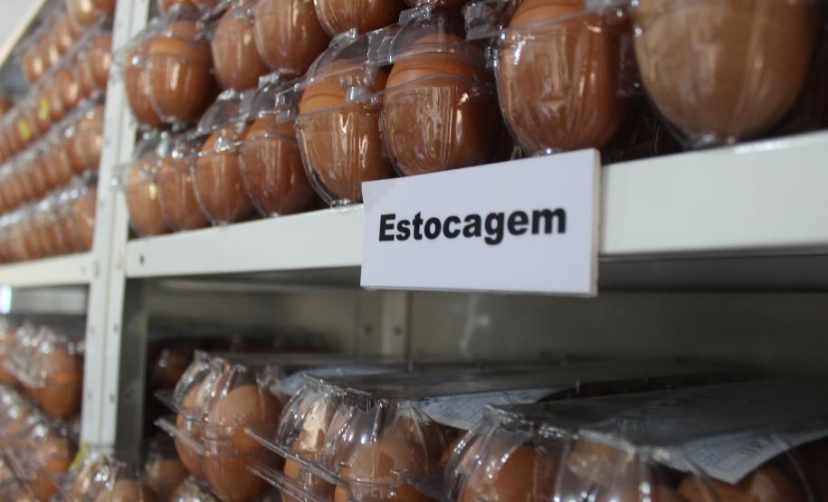 Agroindústrias do Vale do Ivaí ganham impulso com apoio do governo