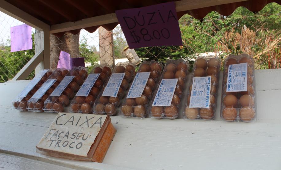 Agroindústrias do Vale do Ivaí ganham impulso com apoio do governo