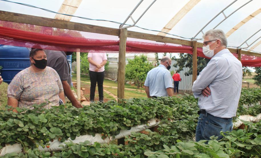 Agroindústrias do Vale do Ivaí ganham impulso com apoio do governo