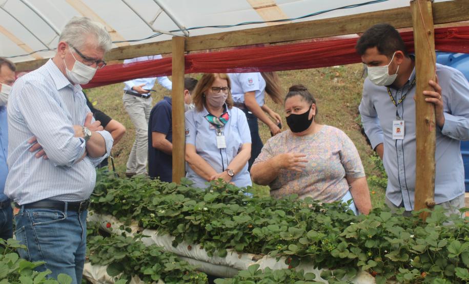 Agroindústrias do Vale do Ivaí ganham impulso com apoio do governo