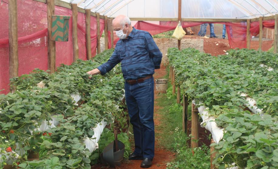 Agroindústrias do Vale do Ivaí ganham impulso com apoio do governo