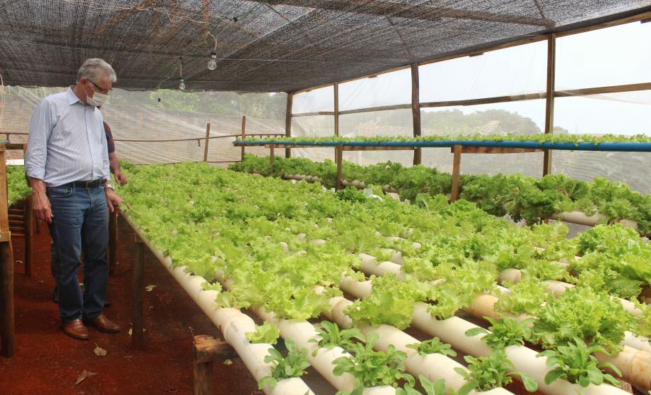 Agroindústrias do Vale do Ivaí ganham impulso com apoio do governo