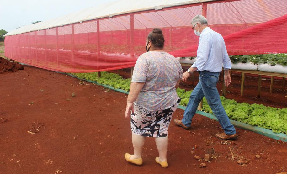 Agroindústrias do Vale do Ivaí ganham impulso com apoio do governo