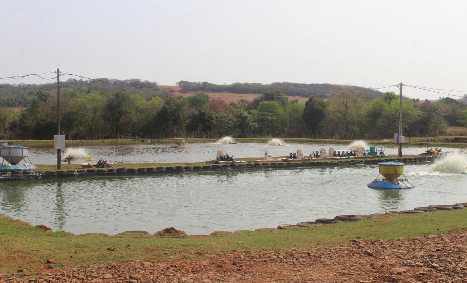 Agroindústrias do Vale do Ivaí ganham impulso com apoio do governo