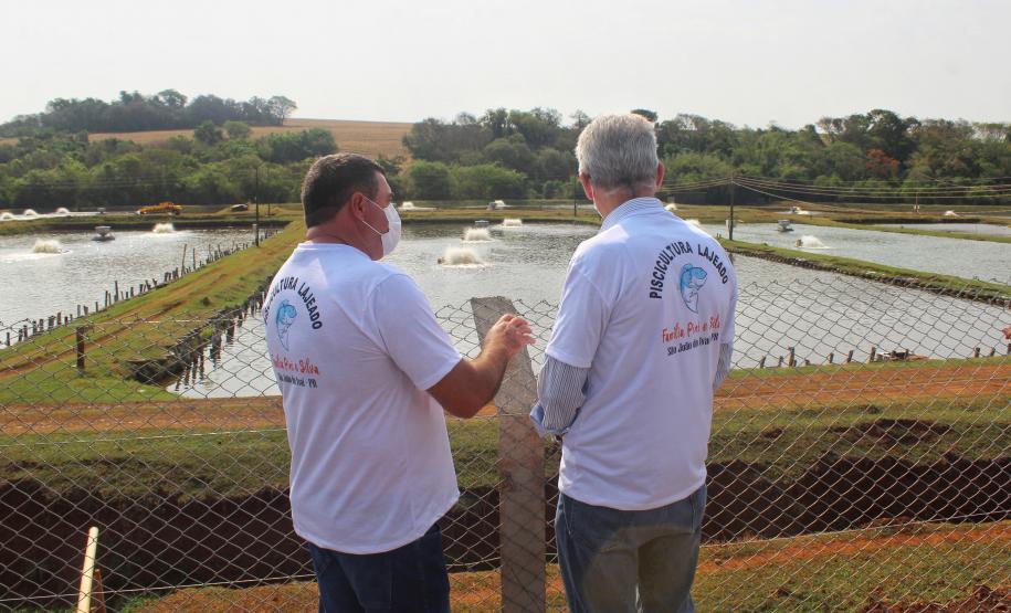 Agroindústrias do Vale do Ivaí ganham impulso com apoio do governo