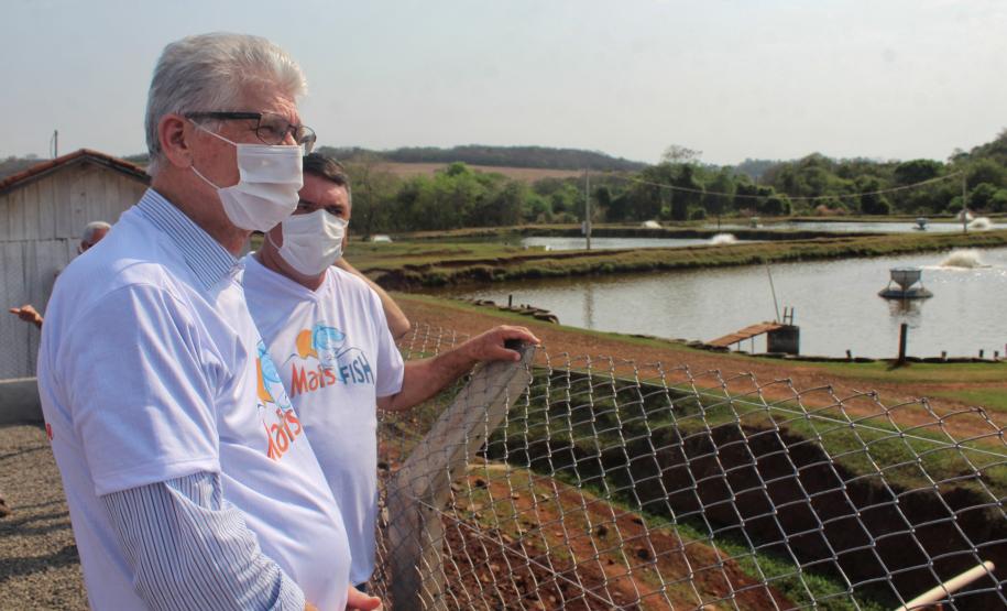 Agroindústrias do Vale do Ivaí ganham impulso com apoio do governo