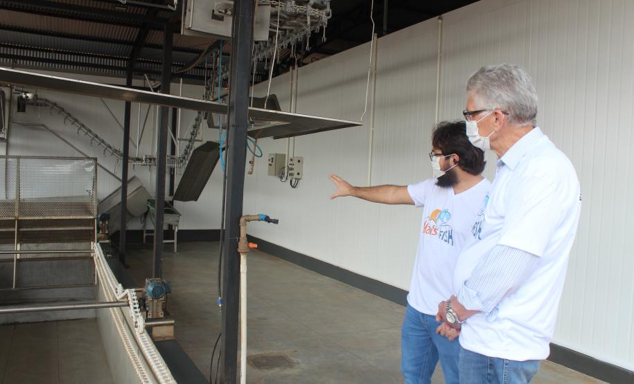 Agroindústrias do Vale do Ivaí ganham impulso com apoio do governo