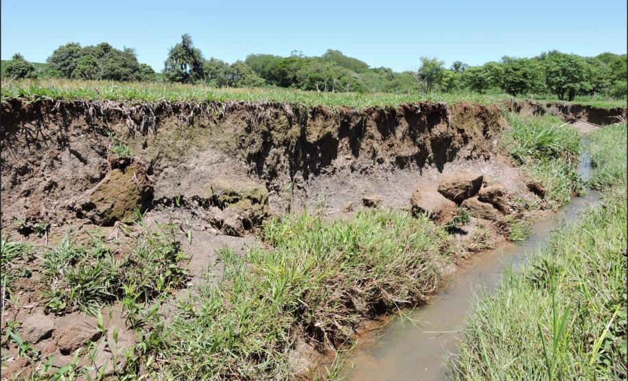 Gleissolo Háplico fase soterrada.