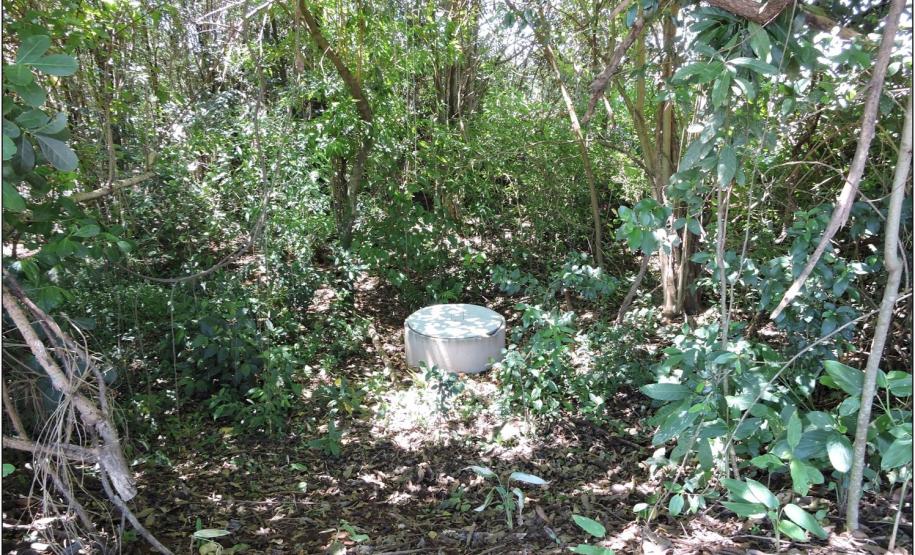 Levantamento de vegetação em área de nascente.