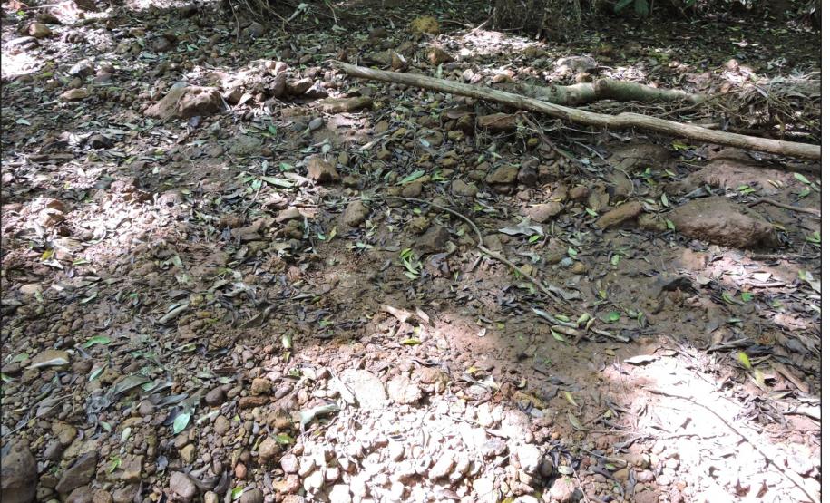 Sedimentos de tração fluvial em superfície aluvial.