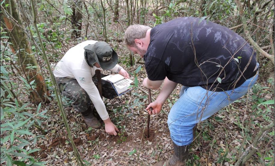 Caracterização e amostragem de solos.