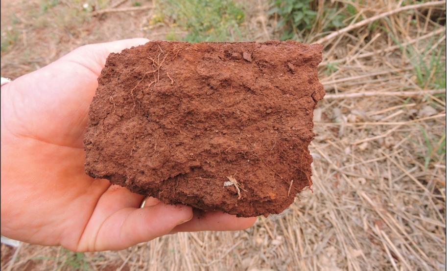 Camada superficial compactada.