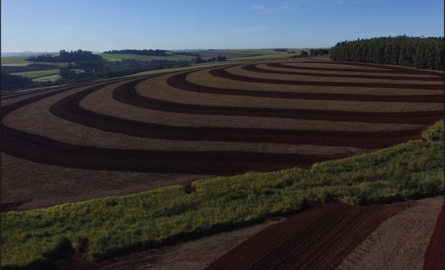 Área com plantio em nível e terraceada.