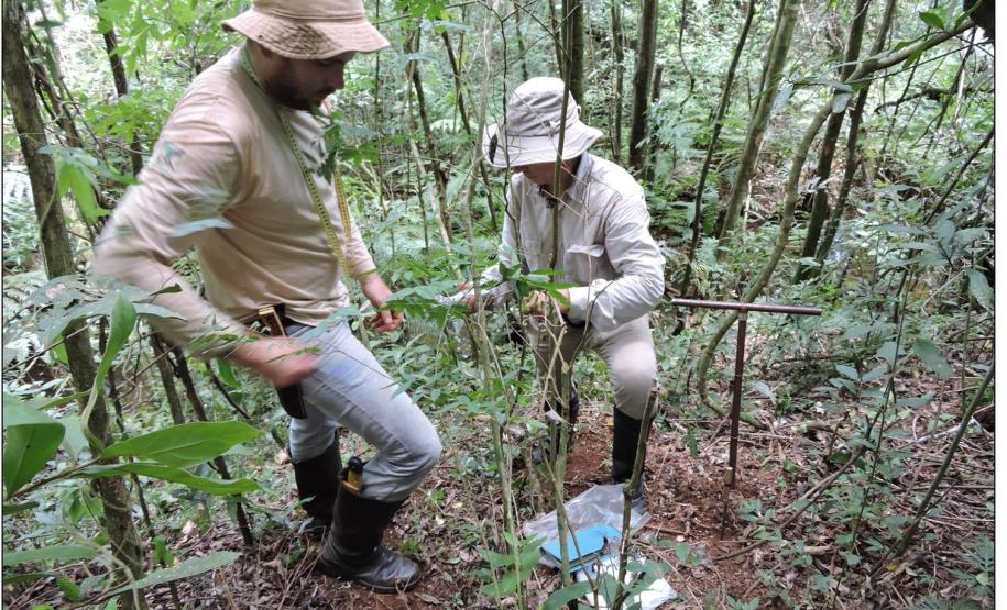 Identificação de tipos de solos na margem fluvial.