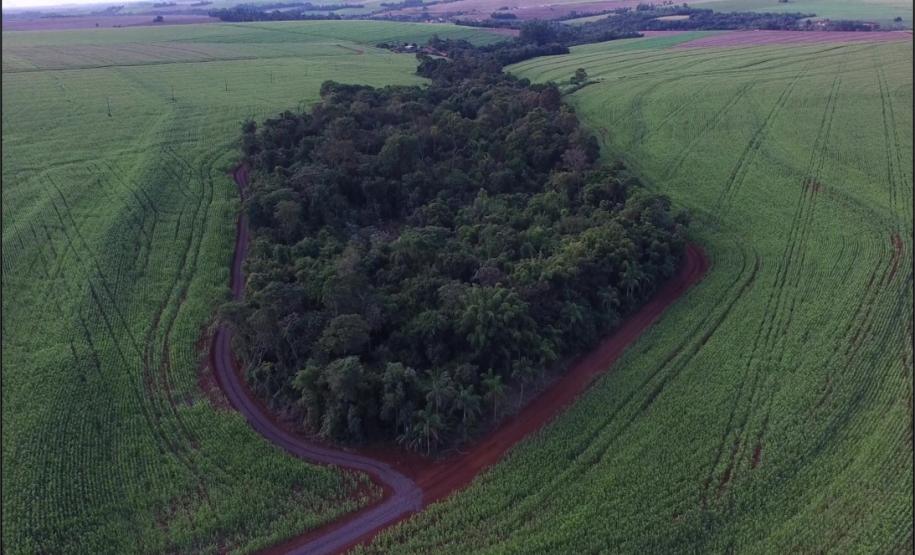Nascente protegida por floresta fluvial.