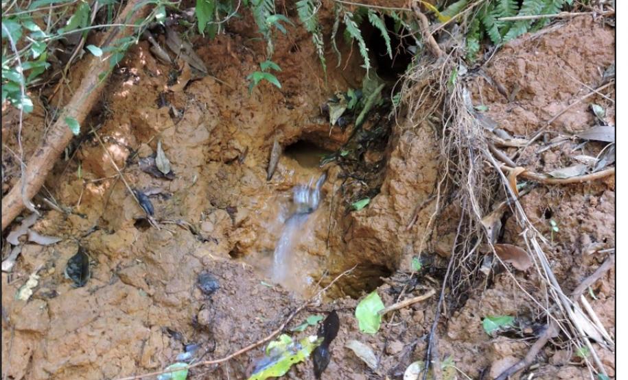 Descarga hidrológica em Neossolo Flúvico.