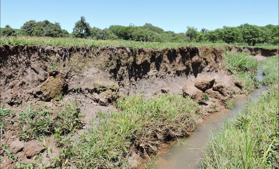 Gleissolo Háplico planossólico fase soterrada.