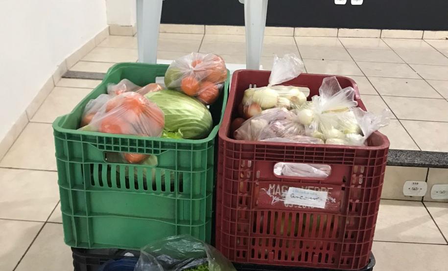 Nova cooperativa regional vai fortalecer agricultura familiar no Noroeste