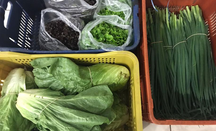 Nova cooperativa regional vai fortalecer agricultura familiar no Noroeste