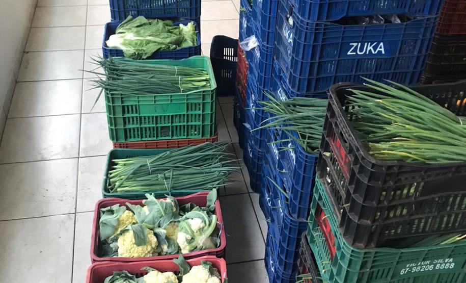 Nova cooperativa regional vai fortalecer agricultura familiar no Noroeste