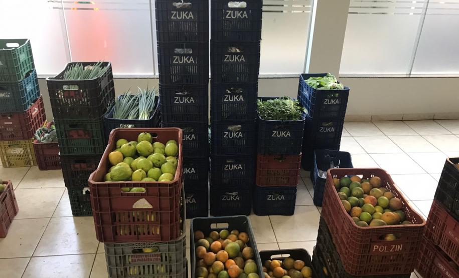 Nova cooperativa regional vai fortalecer agricultura familiar no Noroeste