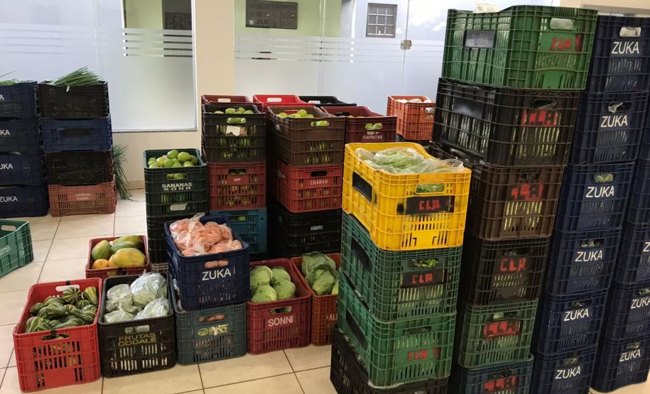 Nova cooperativa regional vai fortalecer agricultura familiar no Noroeste