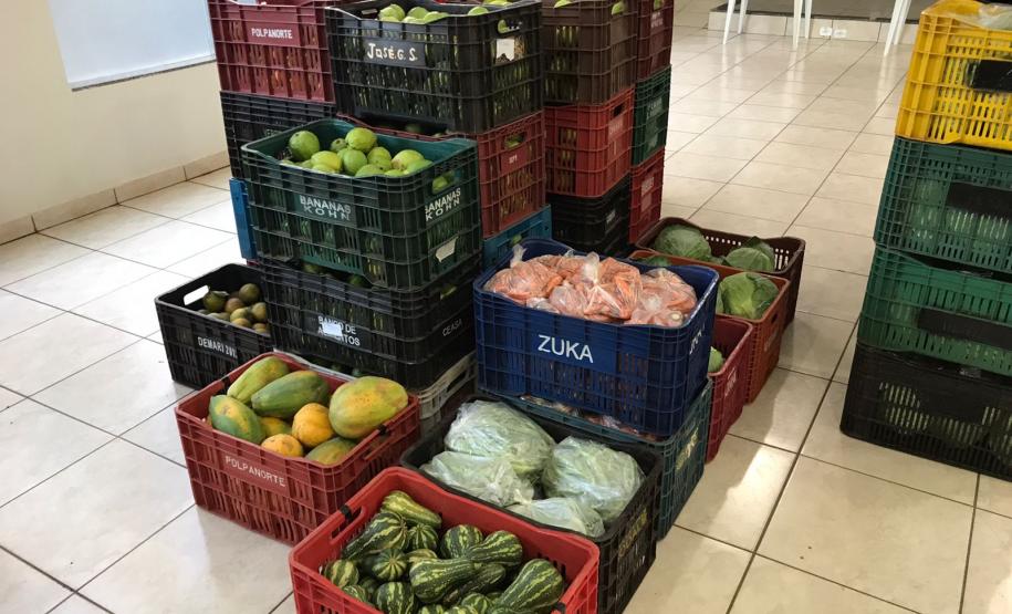 Nova cooperativa regional vai fortalecer agricultura familiar no Noroeste