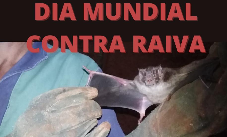 No Dia Mundial Contra a Raiva, Adapar alerta sobre a importância da vacinação