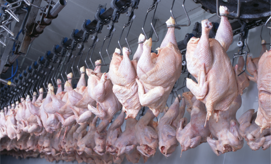 Qualidade e rigor sanitário fazem do Paraná líder em exportação de carne halal