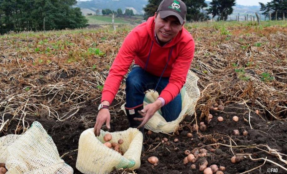 Seab e FAO discutem desafios da agricultura familiar no Paraná