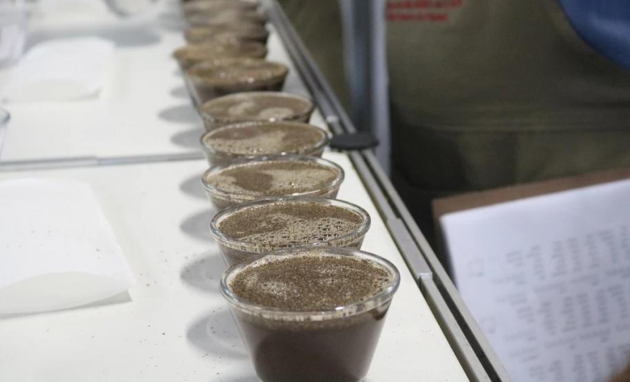 Ficafé reúne produtores, compradores e técnicos em evento virtual