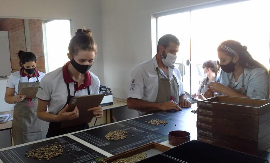 Ficafé reúne produtores, compradores e técnicos em evento virtual