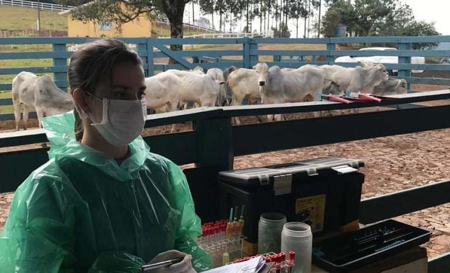 Veterinários do setor privado devem se recadastrar na Adapar em novembro