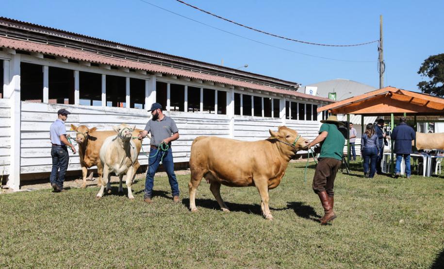 Veterinários do setor privado devem se recadastrar na Adapar em novembro