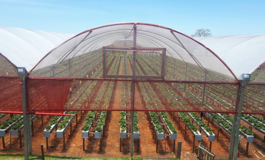 Norte Pioneiro recebe benfeitorias e equipamentos agrícolas