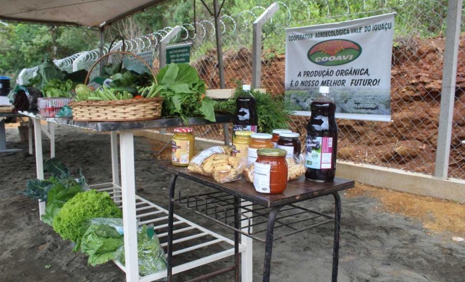 Governo apoia fortalecimento da agroindústria familiar no Sul do Paraná