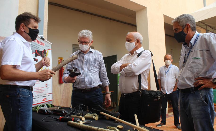 Investimento em novos mercados e produtos pode impulsionar erva-mate paranaense