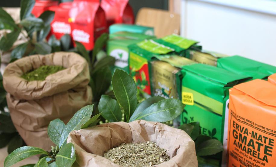 Investimento em novos mercados e produtos pode impulsionar erva-mate paranaense