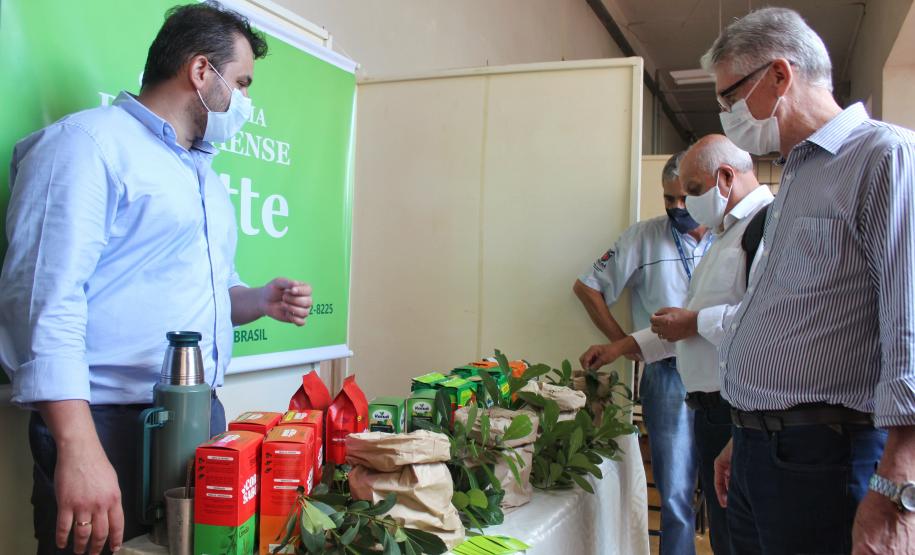 Investimento em novos mercados e produtos pode impulsionar erva-mate paranaense