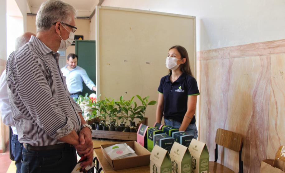 Investimento em novos mercados e produtos pode impulsionar erva-mate paranaense