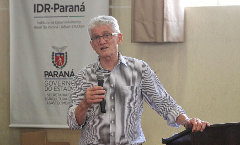 Investimento em novos mercados e produtos pode impulsionar erva-mate paranaense