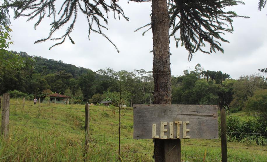 Programa estadual de distribuição de leite leva segurança alimentar ao Vale do Ribeira