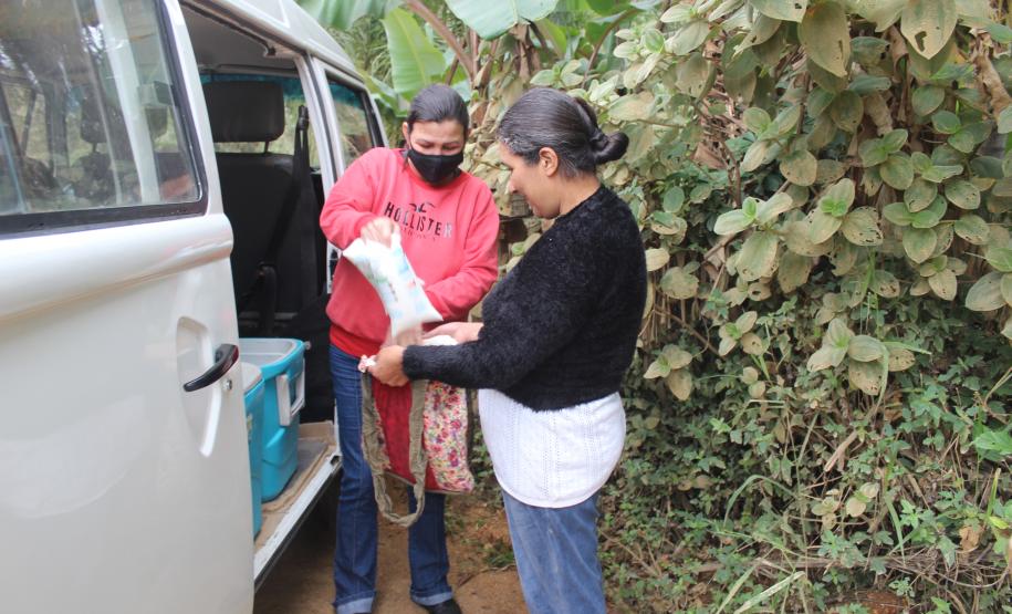 Programa estadual de distribuição de leite leva segurança alimentar ao Vale do Ribeira