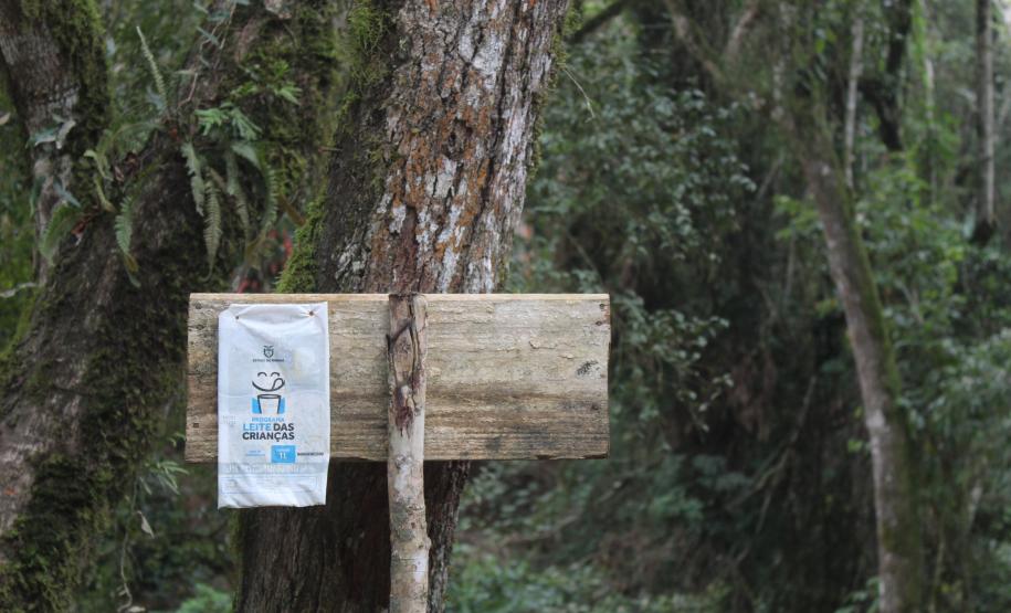 Programa estadual de distribuição de leite leva segurança alimentar ao Vale do Ribeira