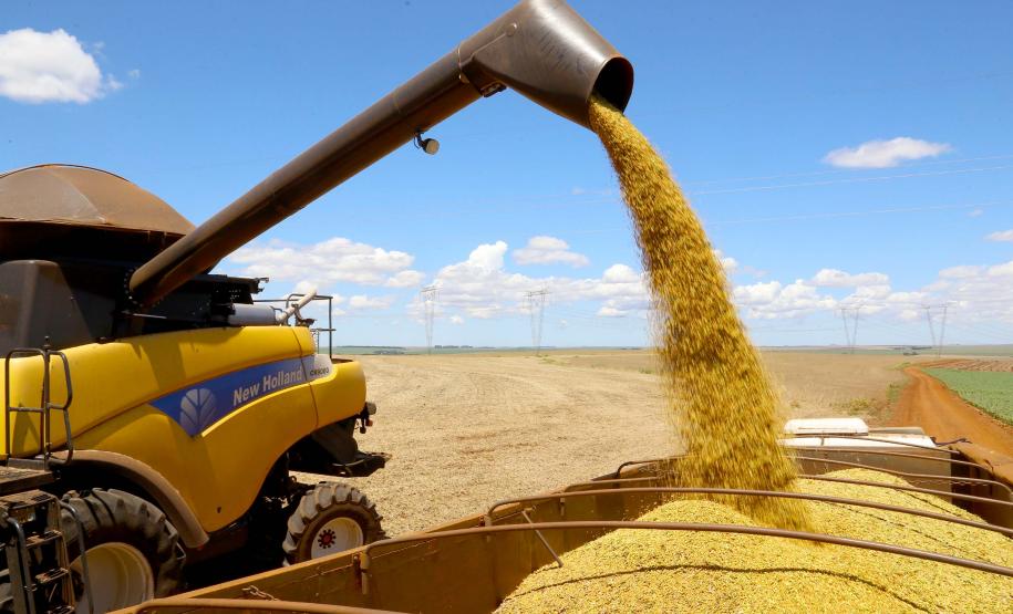 Paraná deve colher 22,54 milhões de toneladas na safra de verão 21/22