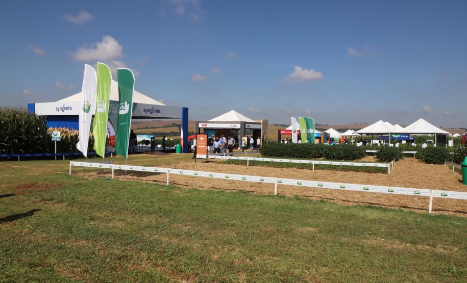 Tocantins busca no Paraná inspiração para fomentar cooperativismo na agricultura