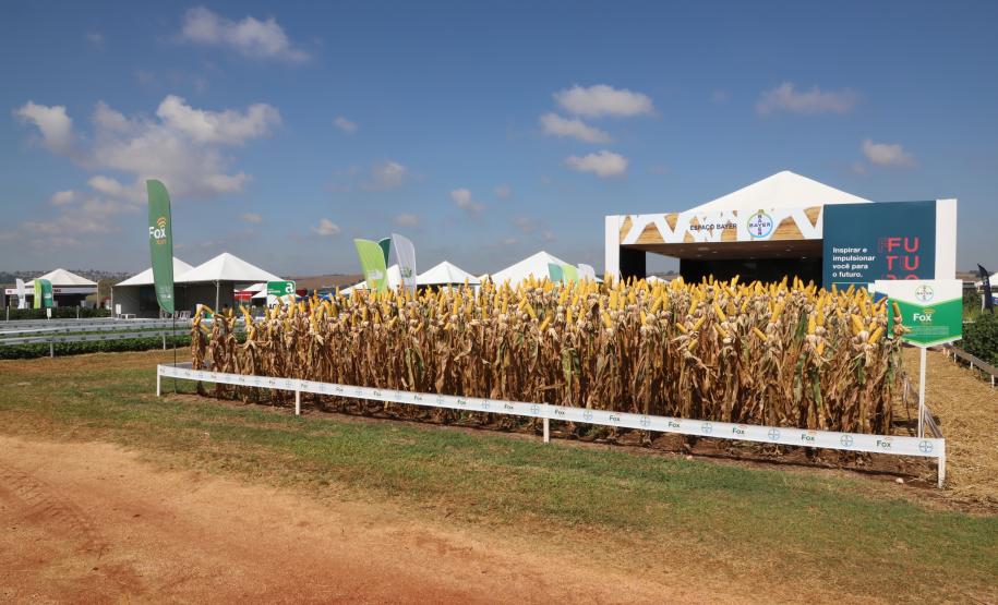Tocantins busca no Paraná inspiração para fomentar cooperativismo na agricultura