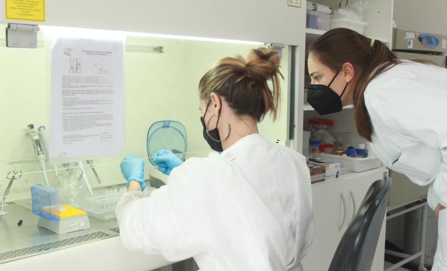 Laboratório da Adapar é credenciado para diagnóstico de Influenza Aviária e Doença de Newcastle por PCR em tempo real