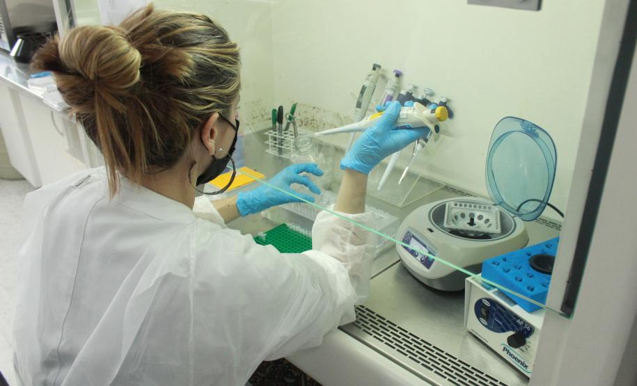 Laboratório da Adapar é credenciado para diagnóstico de Influenza Aviária e Doença de Newcastle por PCR em tempo real