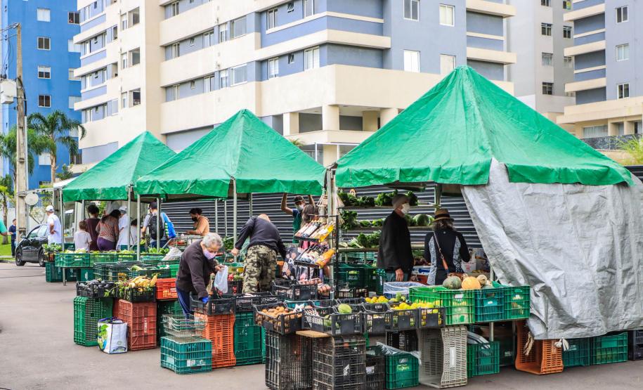 feira orgânicos